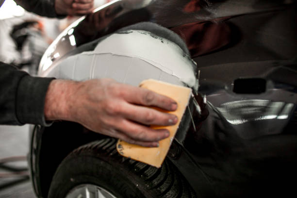 Best Mold Documentation for Insurance Claims  in Nevada, MO