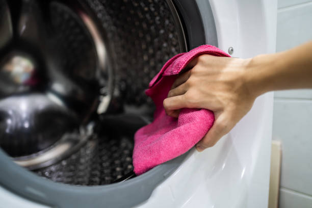 Best Mold Prevention Services  in Nevada, MO