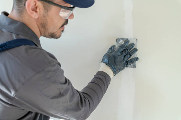 Best Crawl Space Mold Remediation  in Nevada, MO
