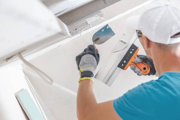 Best Residential Mold Inspection & Testing  in Nevada, MO